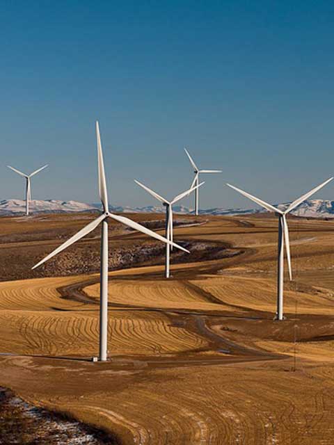 ddos攻击